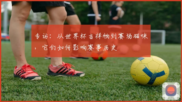 专访：从世界杯吉祥物到赛场猫咪，它们如何影响赛事历史