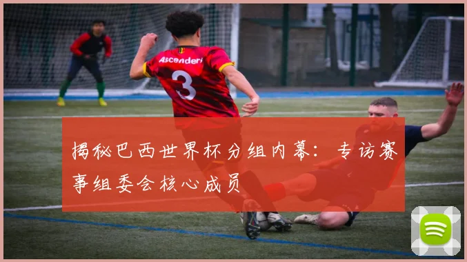 揭秘巴西世界杯分组内幕：专访赛事组委会核心成员