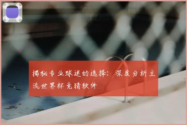 揭秘专业球迷的选择：深度分析主流世界杯竞猜软件