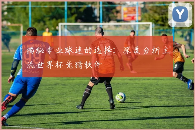 揭秘专业球迷的选择：深度分析主流世界杯竞猜软件