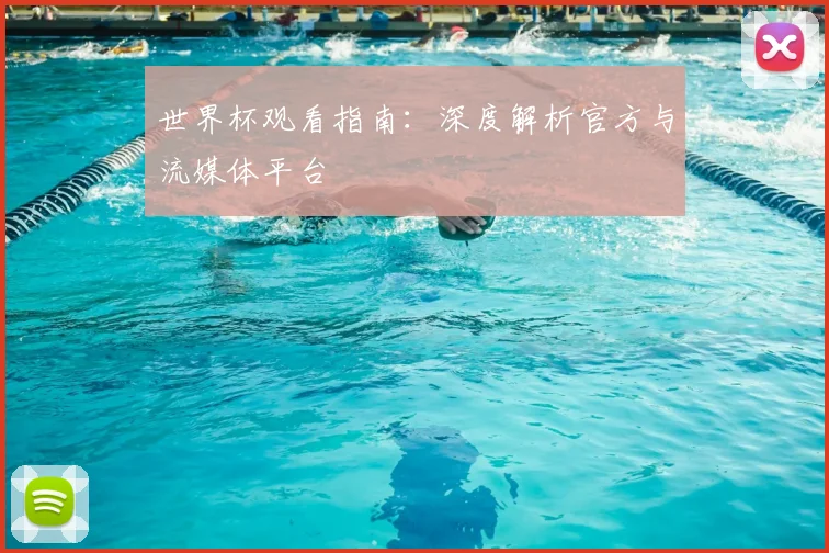 世界杯观看指南：深度解析官方与流媒体平台