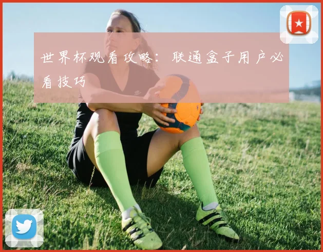 世界杯观看攻略：联通盒子用户必看技巧
