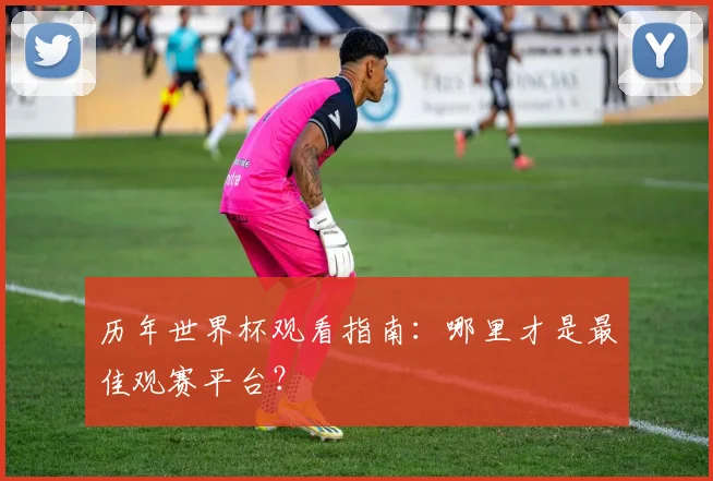 历年世界杯观看指南:哪里才是最佳观赛平台?